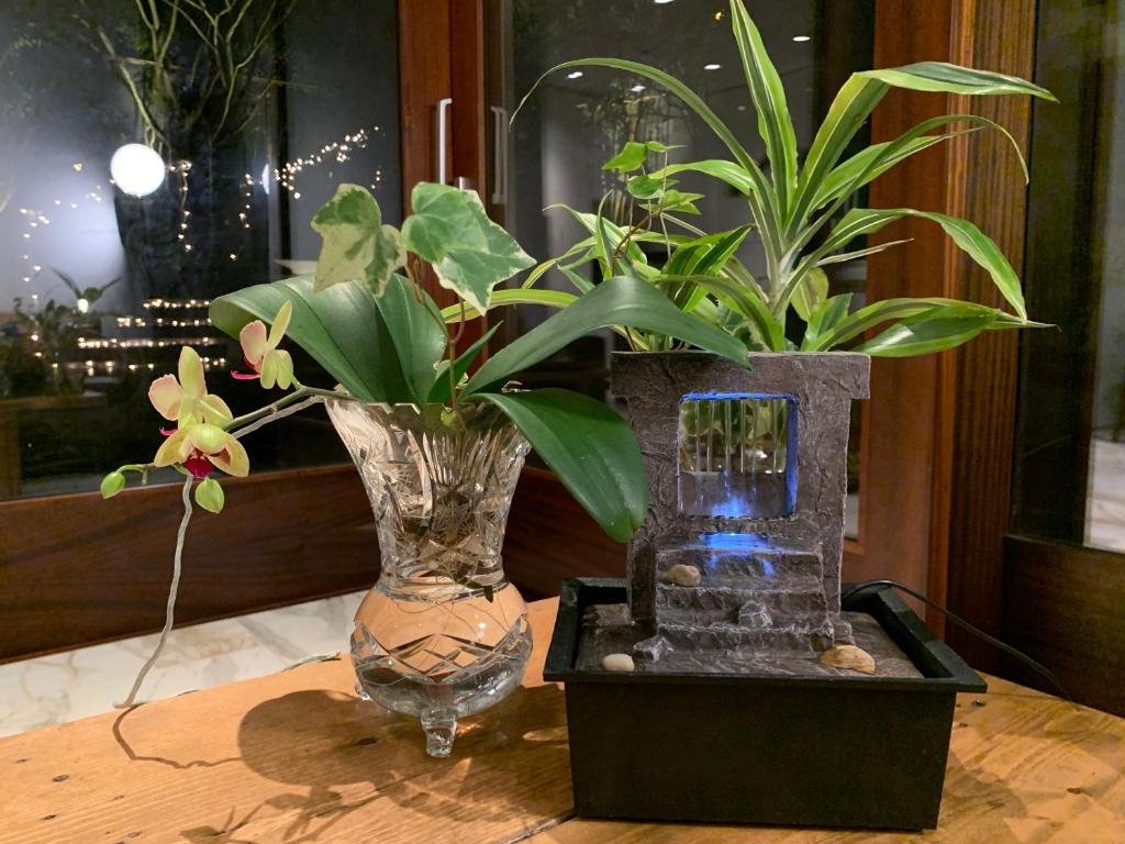 un vase avec des plantes assises sur une table dans l'établissement S-Villa 3 bedrooms or 1 bedroom, à Vancouver