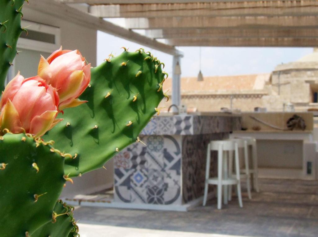 Fotografie z fotogalerie ubytování B&B Luvì v destinaci Maruggio