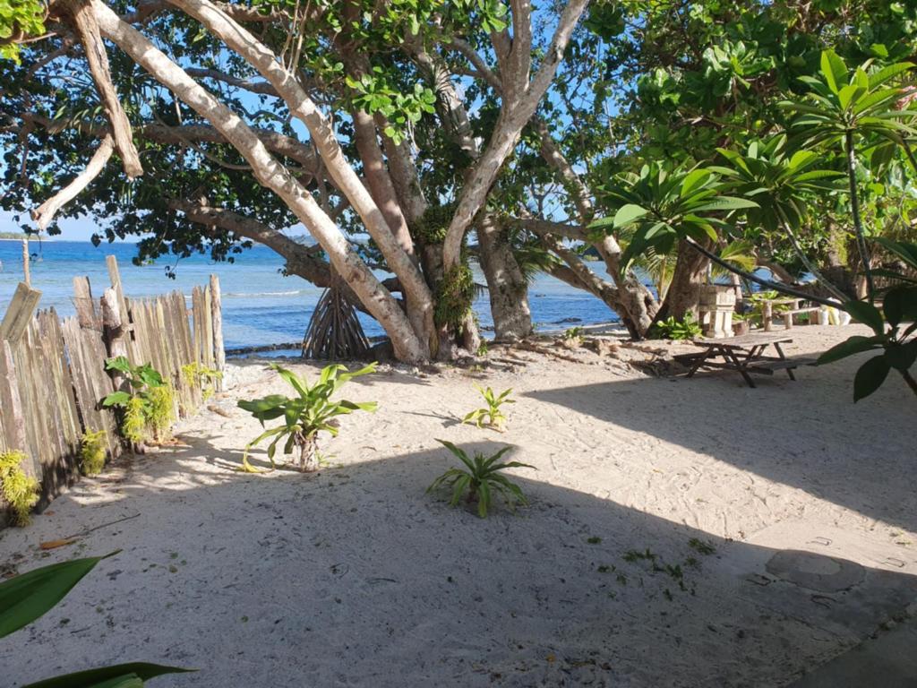 Eco Dive Vanuatu Bungalows & Backpackers - 海景家庭房