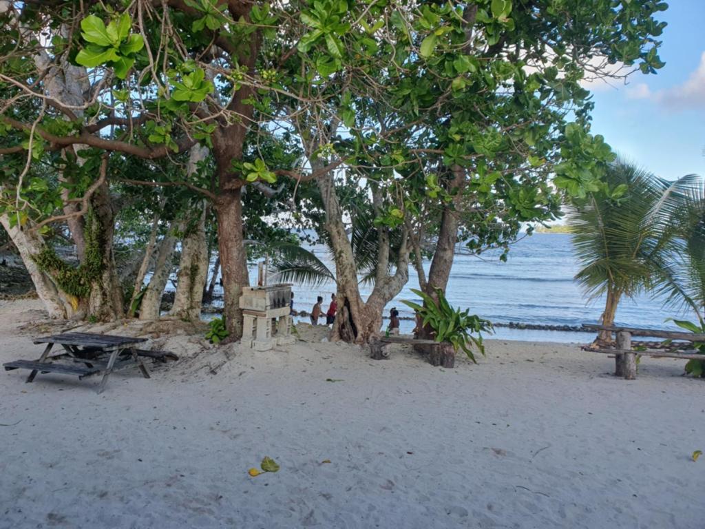 Eco Dive Vanuatu Bungalows & Backpackers - 混合宿舍房间