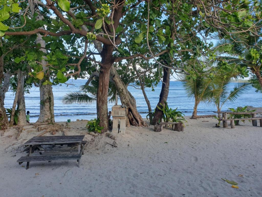 Eco Dive Vanuatu Bungalows & Backpackers - 单床在4床宿舍房间