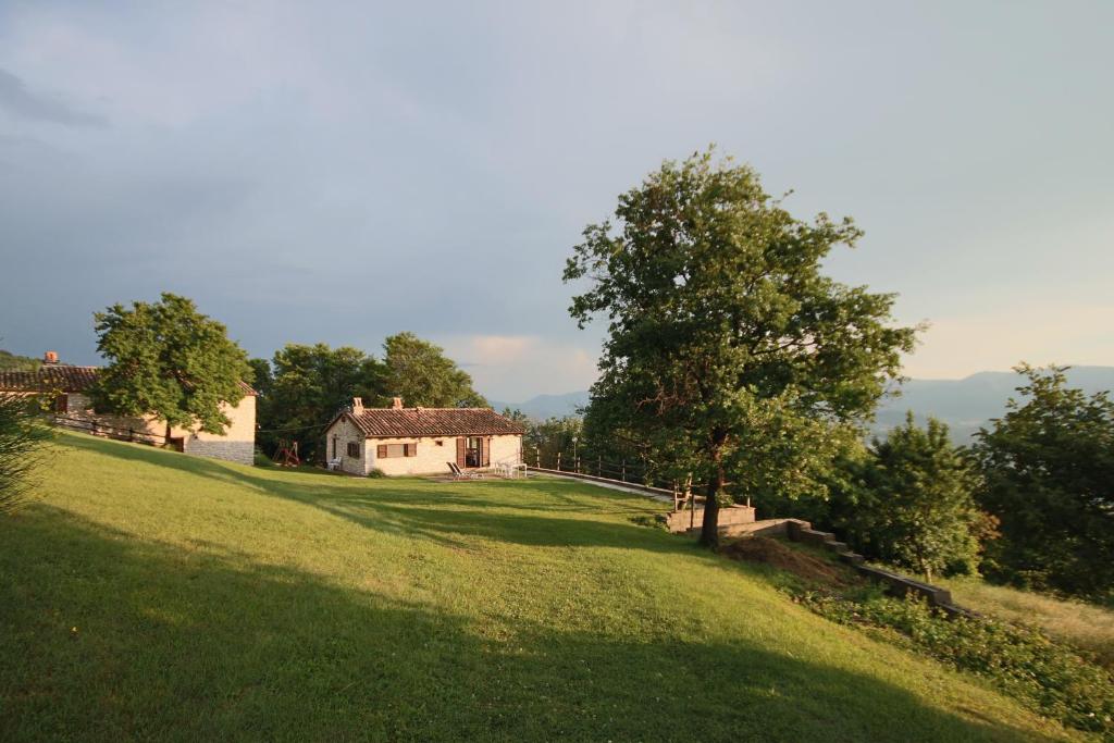 a large grassy hill with a house and a tree at Agriturismo Valdifiori in Sassoferrato