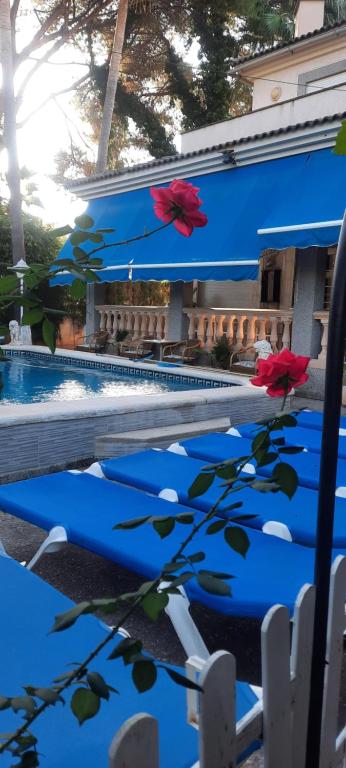 una piscina con fiori rossi in acqua di Villa Matias Pool and beach a Playa de Palma