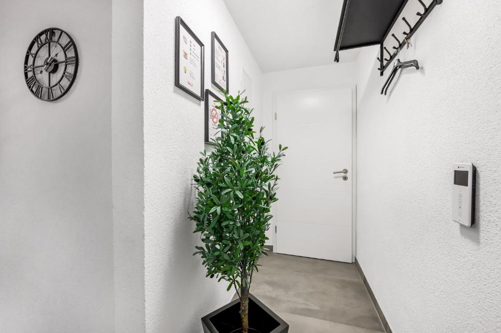 Fotografie z fotogalerie ubytování Sali Homes - Residenz zum Breitenauer See v destinaci Obersulm