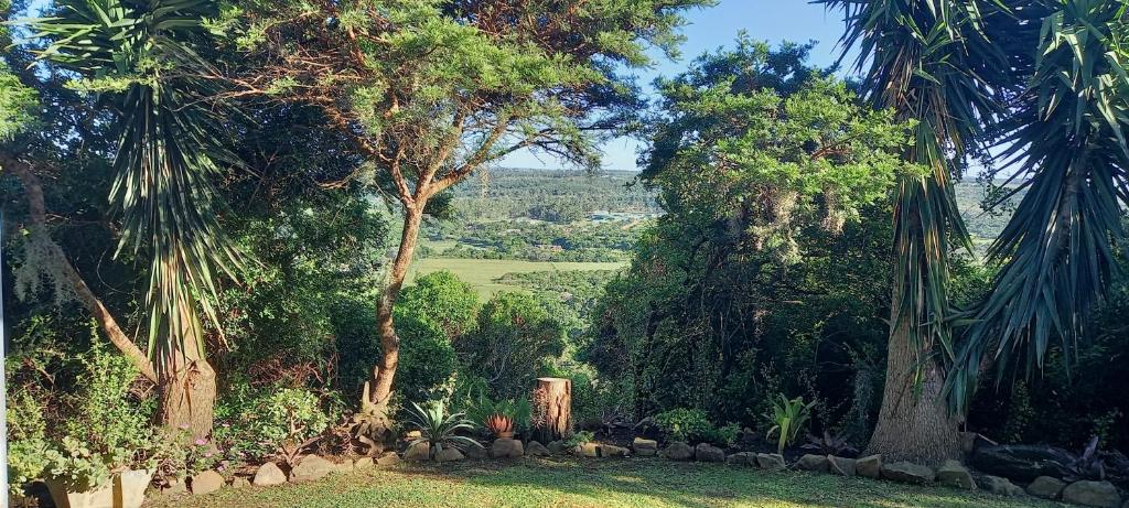 a garden with palm trees and a view of a field at Terryton Country Estate in Gonubie