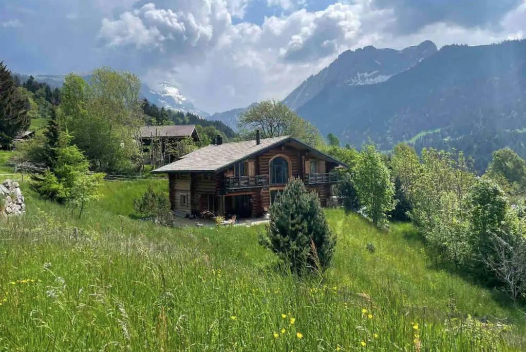 a log cabin on a hill in a field at CHALET RONDIN in Gryon