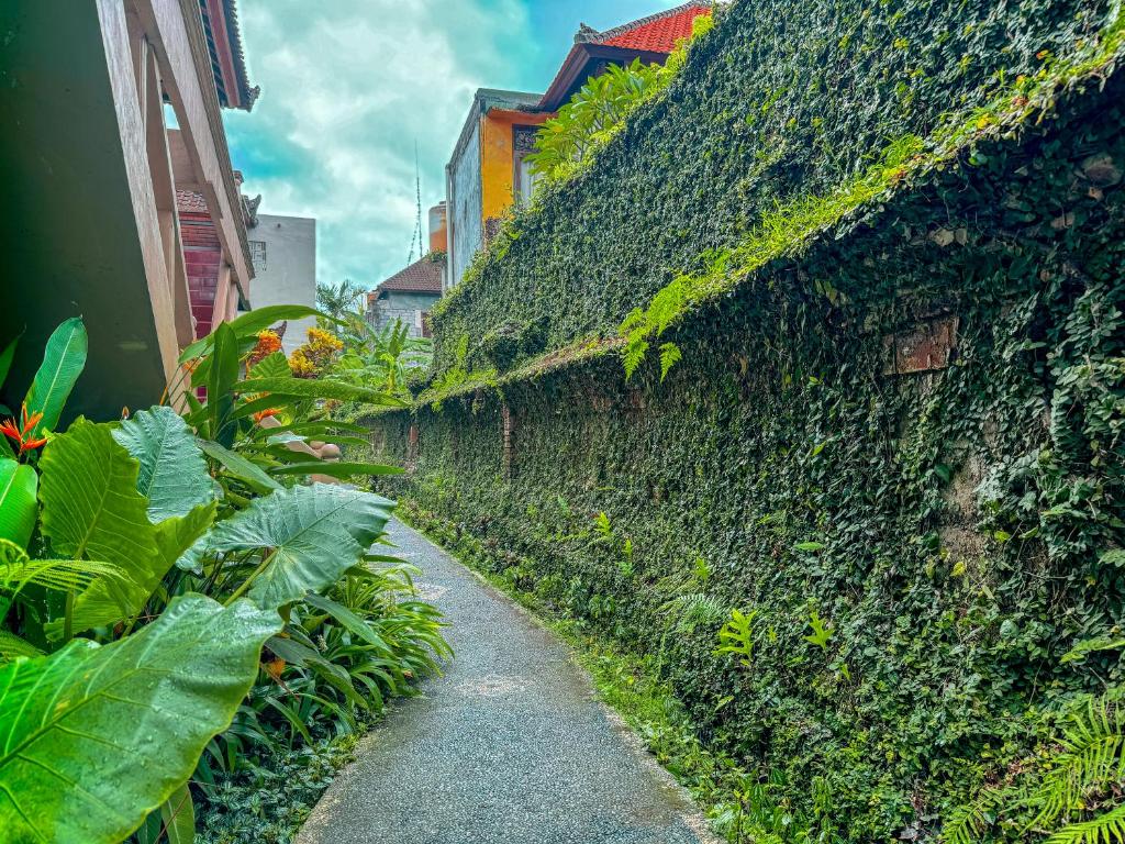 Zahrada ubytování Garden View Ubud