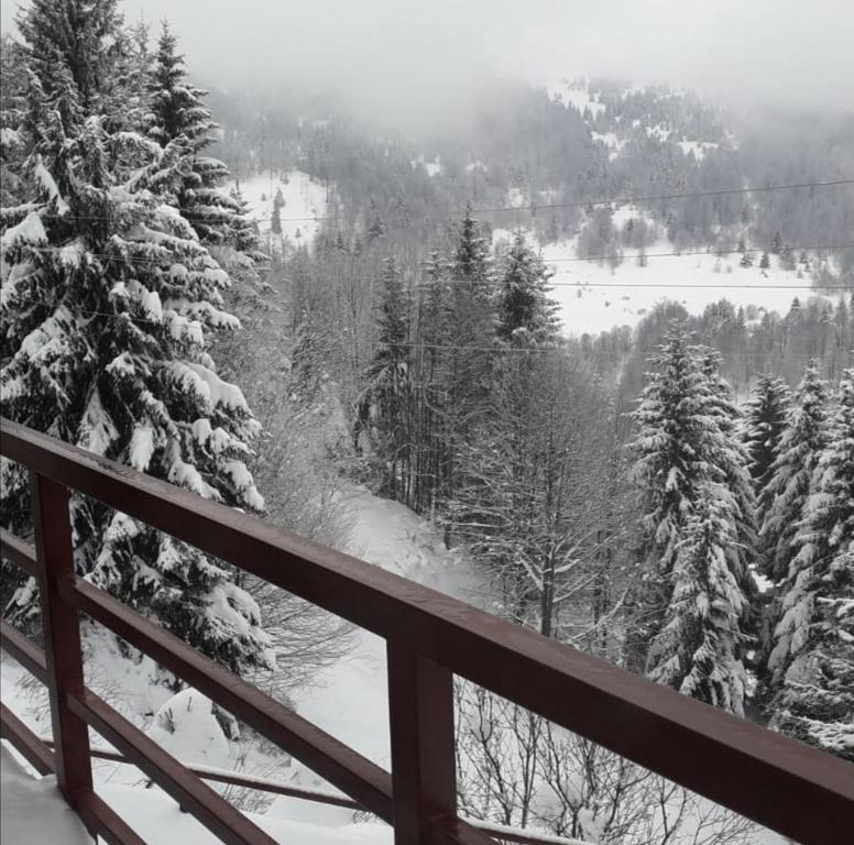Blick auf einen schneebedeckten Berg mit Bäumen in der Unterkunft Apartman Miloš na Kopaoniku in Raška