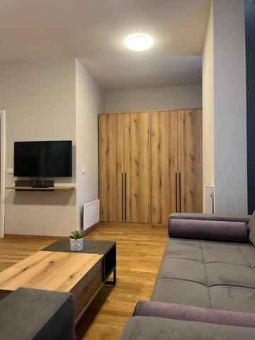 a living room with a couch and a flat screen tv at SUNSKII Apartments in Brzeće