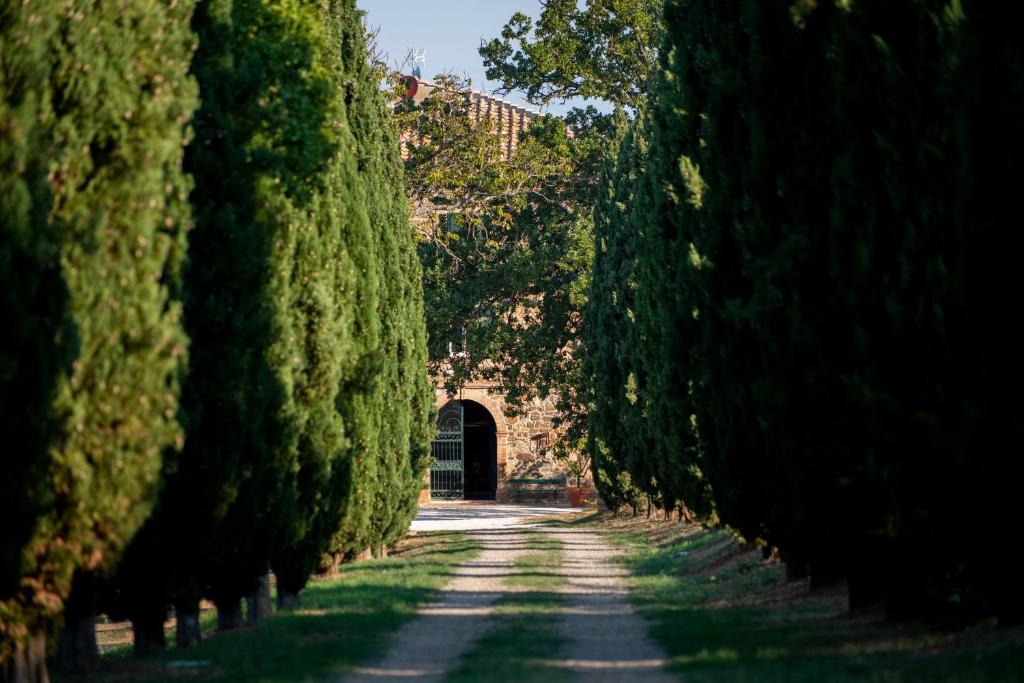 eine Allee von Bäumen mit einem Tunnel in der Ferne in der Unterkunft Villa Le Prata - Farm House & Winery - Adults Only in Montalcino