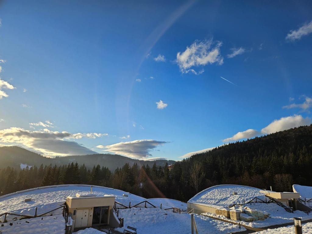 Příroda nedaleko apartmánu