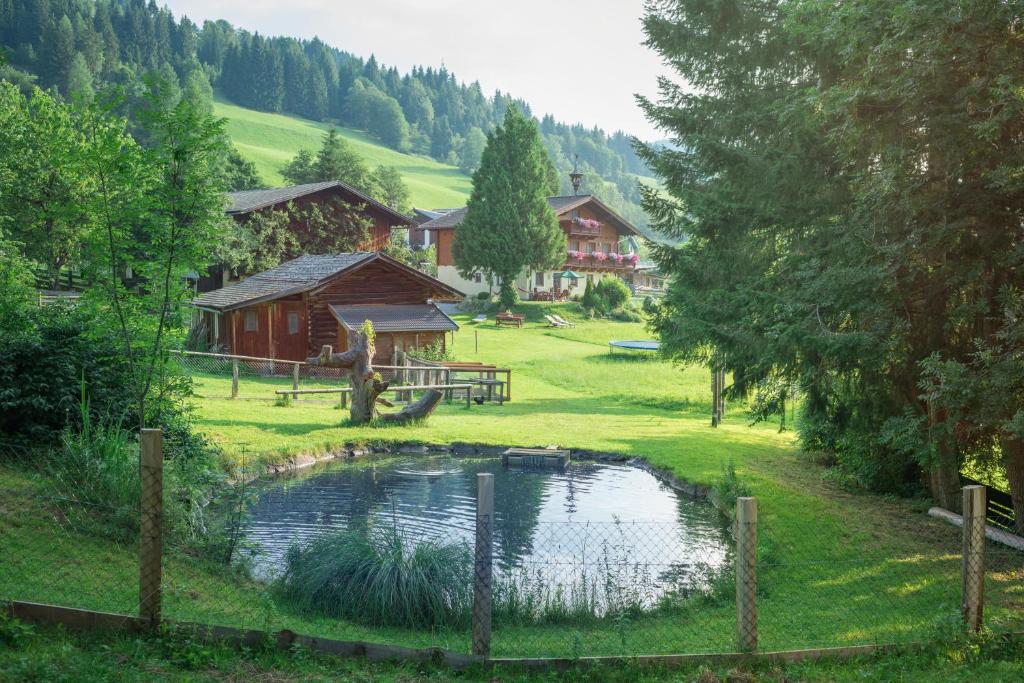 a small pond in the middle of a field with houses at Bauernhof Auhof in Wagrain