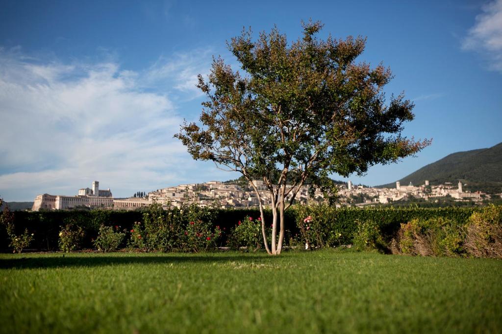 Hotel Bellavista - Resim 43