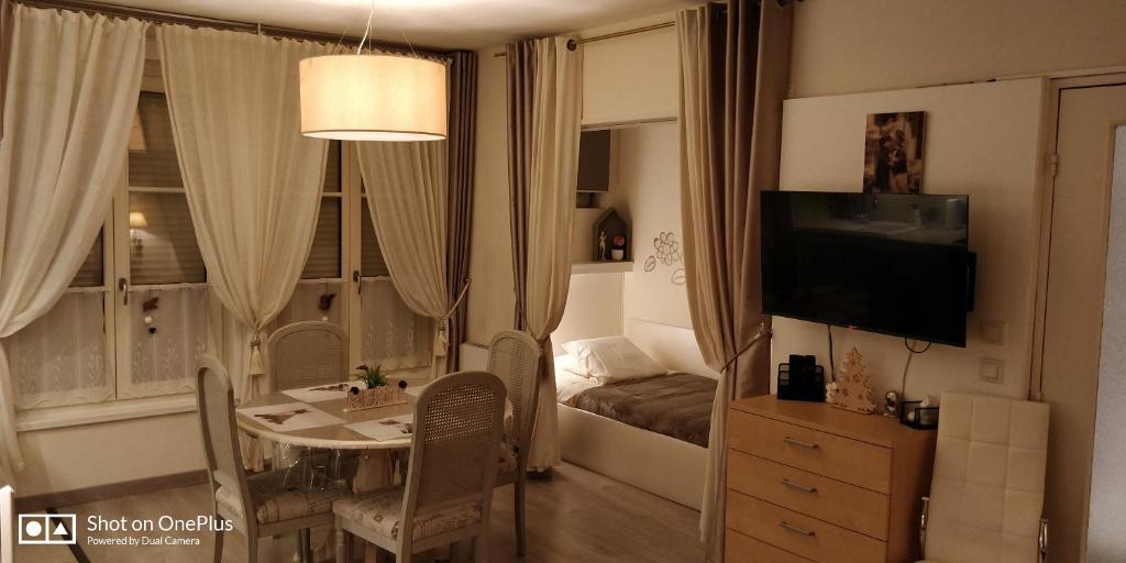 TV a/nebo společenská místnost v ubytování Chic En Ville