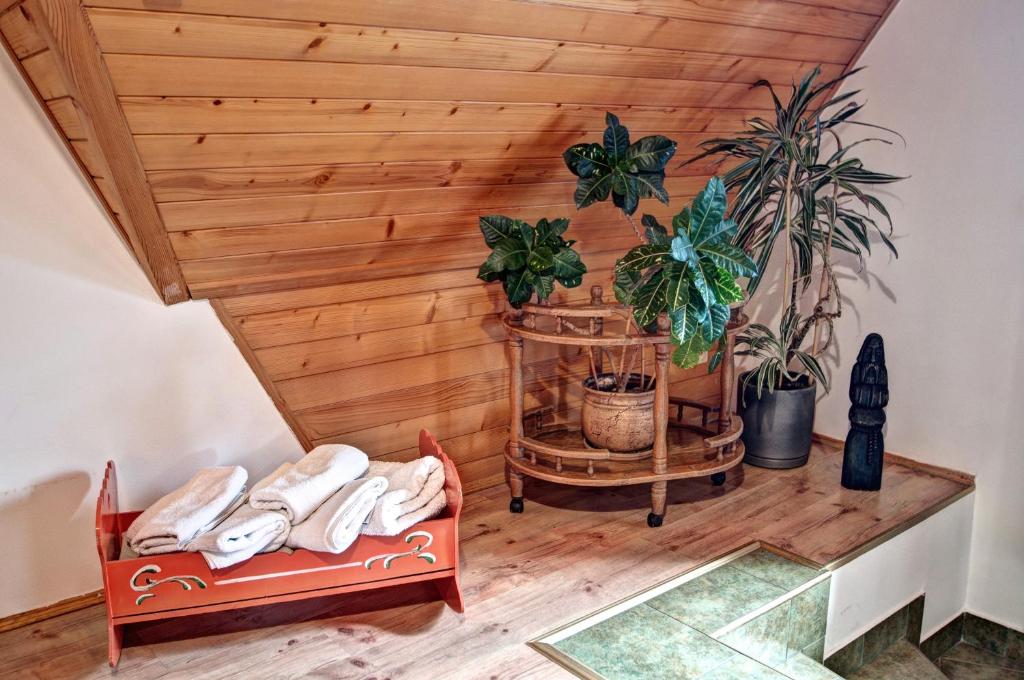 Willa Karpinskich - 12