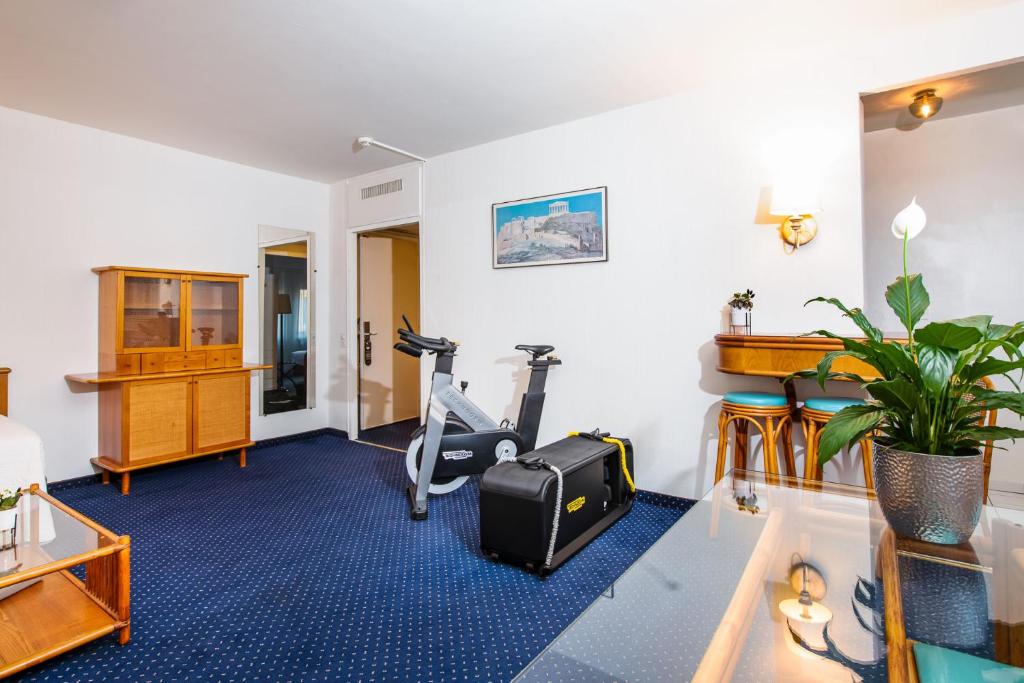 Fitness centrum a/nebo fitness zařízení v ubytování Hotel Sagitta