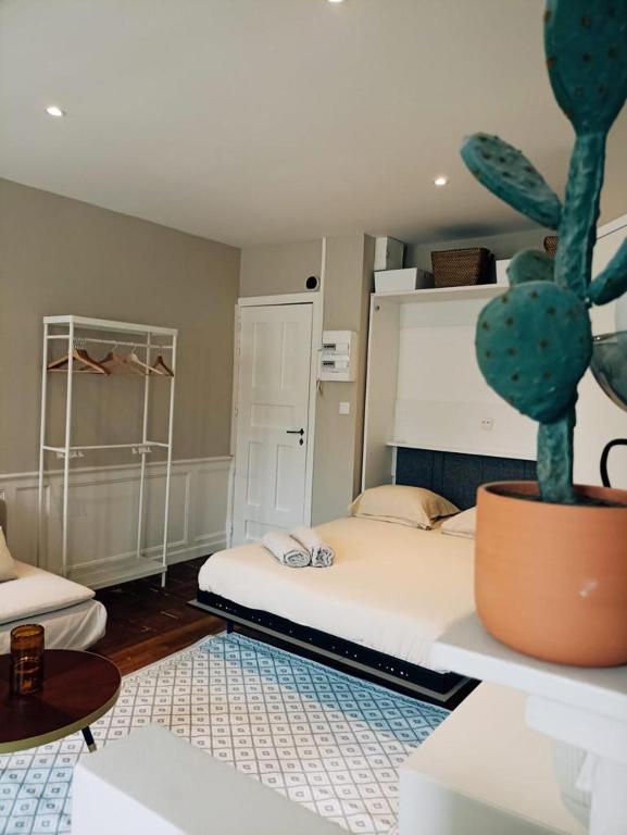 - une chambre avec un lit et un cactus dans l'établissement Yukos-Studio Cosy-(Hypercentre), à Rennes