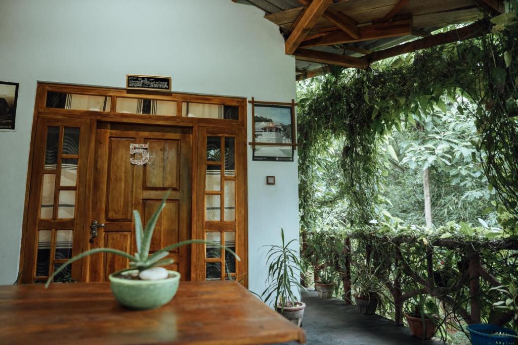 Zahrada ubytování Aloe Vera Guest House