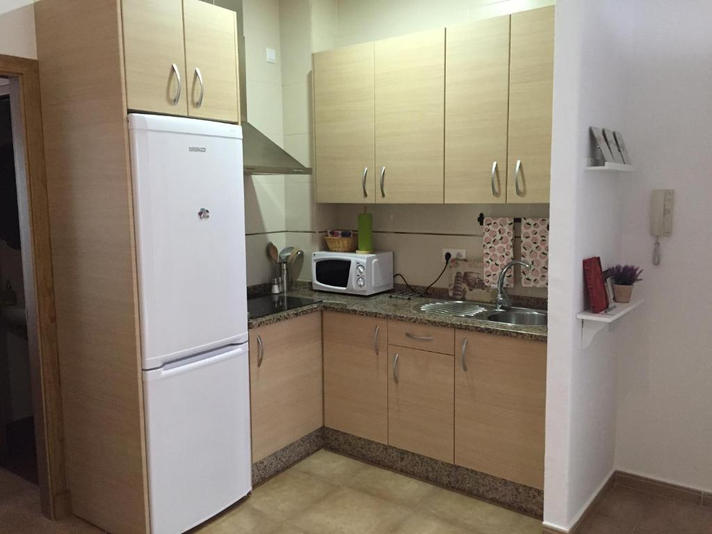 a kitchen with a white refrigerator and a microwave at San Juan Apartamento in Jerez de la Frontera