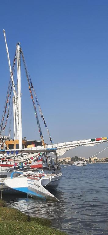 a group of boats sitting in the water at Felucca SUNSHINE in Luxor