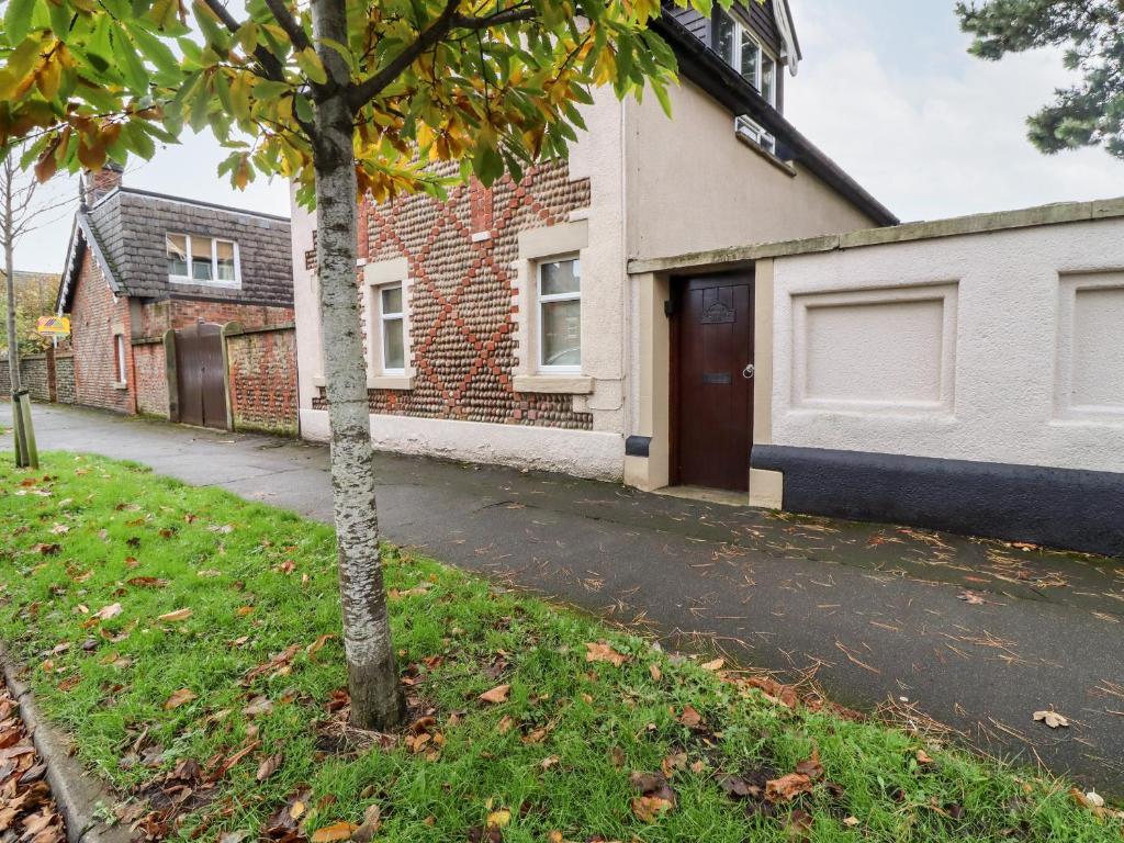 a tree in a yard next to a building at 6D Clifton Drive in Lytham St Annes