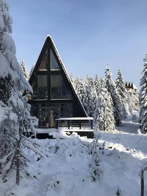 Black Chalet Apuseni trong mùa đông
