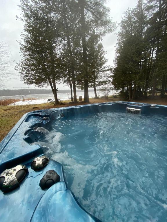 a swimming pool with two turtles in the water at Lovely waterfront private cottage with hot tub in Kawartha Lakes in Head Lake
