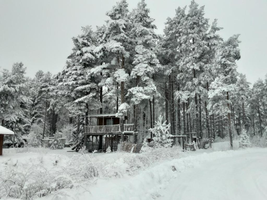 Elulõng Camping v zimě