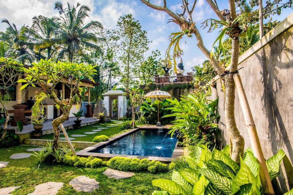 Fotografie z fotogalerie ubytování Budget Apartment 30min Ubud Center, Rice Fields-2 v destinaci Payangan
