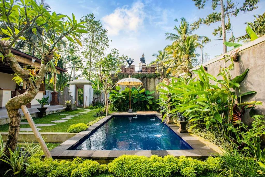 Fotografie z fotogalerie ubytování Budget Apartment 30min Ubud Center, Rice Fields-2 v destinaci Payangan