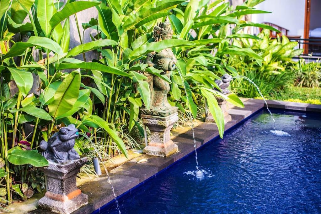Fotografie z fotogalerie ubytování Budget Apartment 30min Ubud Center, Rice Fields-2 v destinaci Payangan
