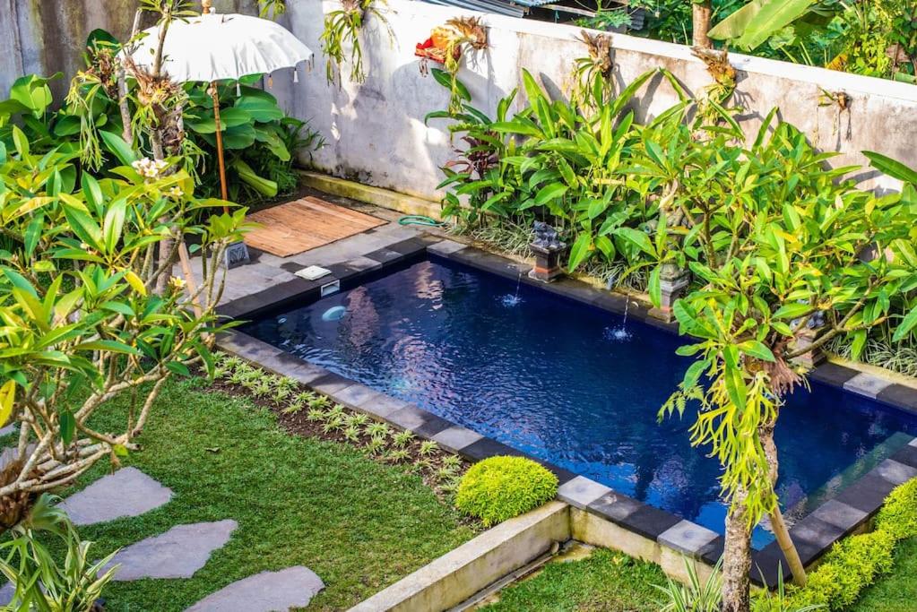 Fotografie z fotogalerie ubytování Budget Apartment 30min Ubud Center, Rice Fields-2 v destinaci Payangan