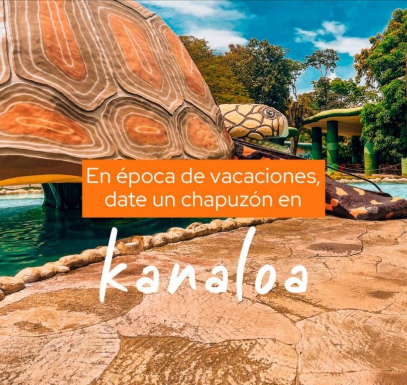 a turtle statue in the water at karachi zoo at Hotel Tierra Santa in Santa Fe de Antioquia