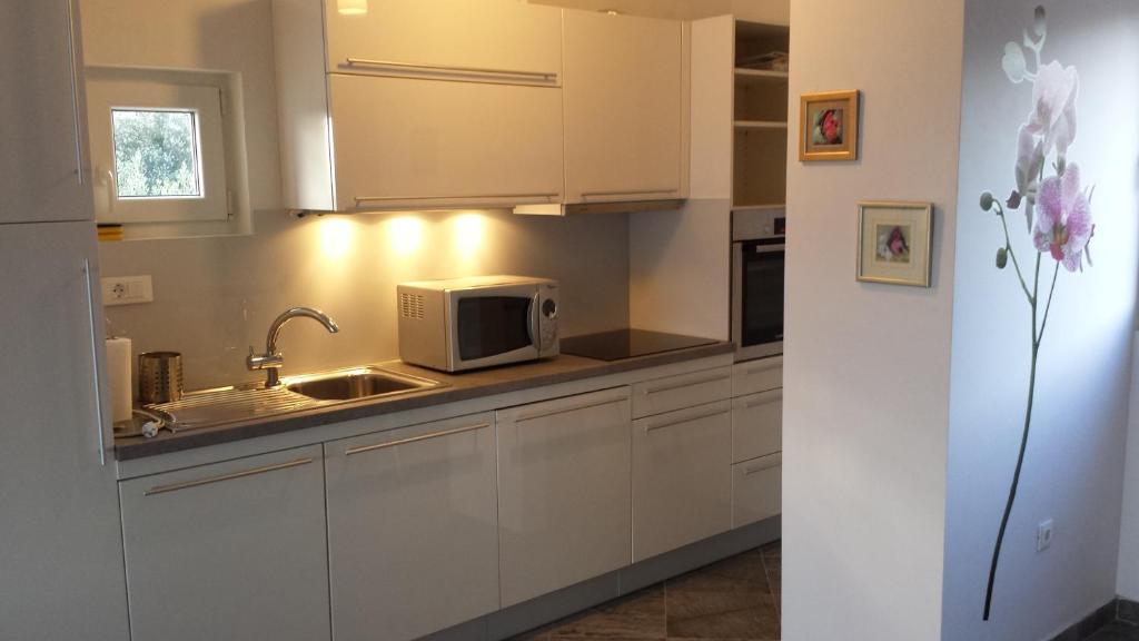 Kuchyň nebo kuchyňský kout v ubytování Apartment Ika