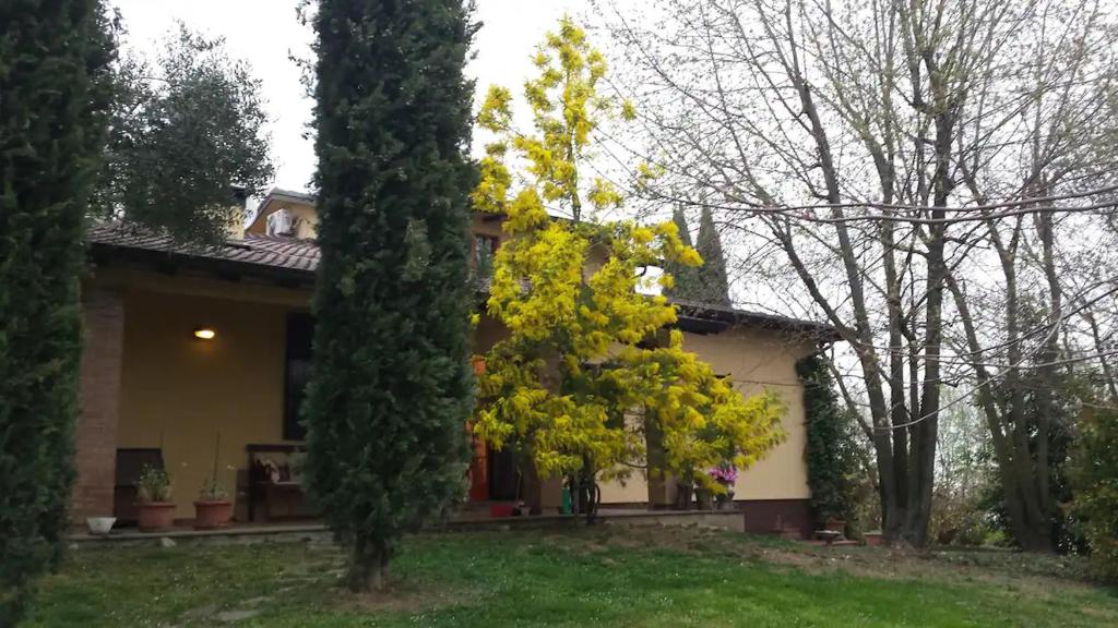 une maison avec des fleurs jaunes dans la cour dans l'établissement Villa Mimosa, à Medesano