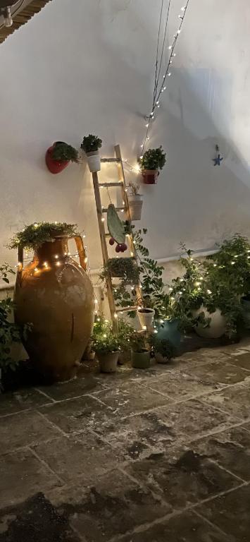 Suite Battisti 7 - 5