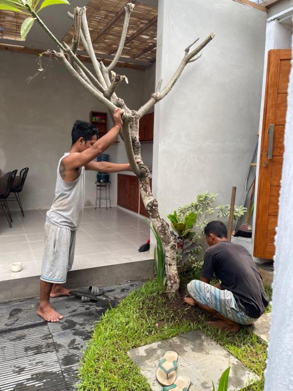 dos hombres trabajando en un árbol en una casa en Pranajaya loka private villa, en Tejakula