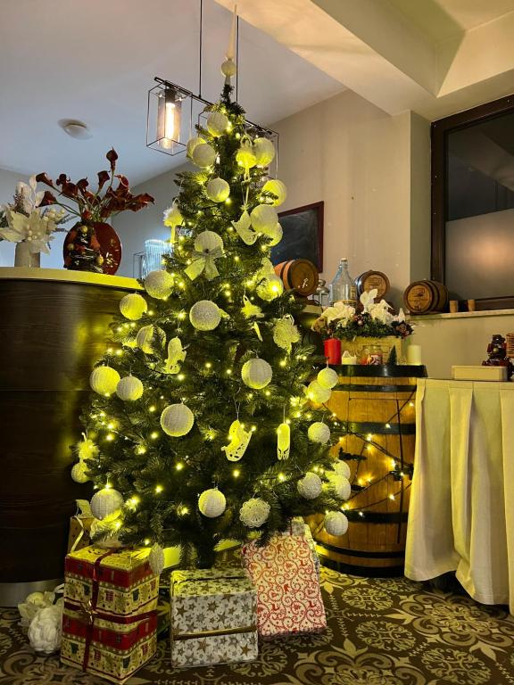 a christmas tree with presents under it in a living room at Hotel Nosal Ski & Wine in Zakopane