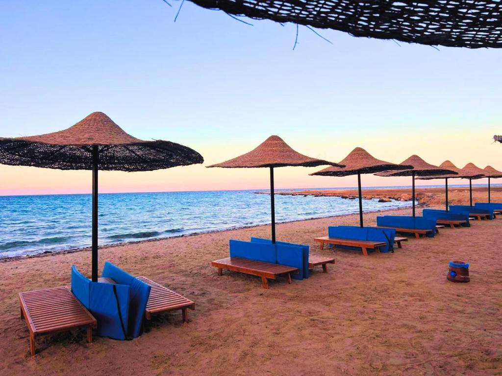 una fila di sedie e ombrelloni in spiaggia di Beach Front Apartment in Hurghada La Quinta Beach Compound a Ismailia
