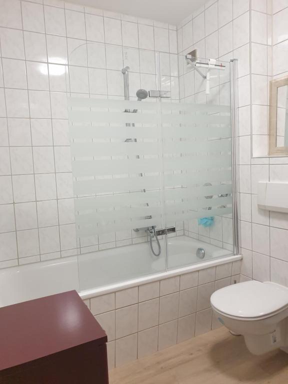 ein Bad mit einer Dusche und einem WC in der Unterkunft Zur Elster 2 in Plauen