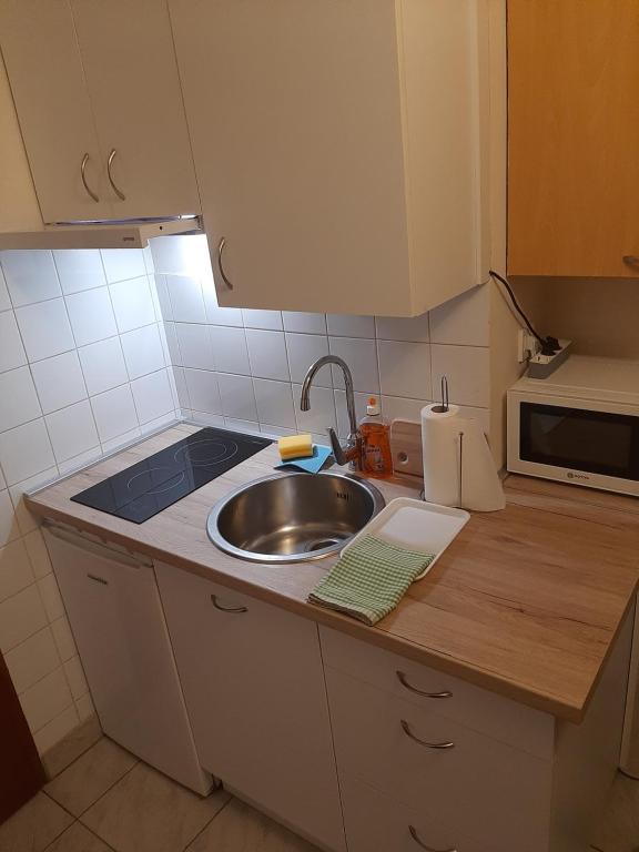a kitchen counter with a sink and a microwave at Carolina in Zagreb