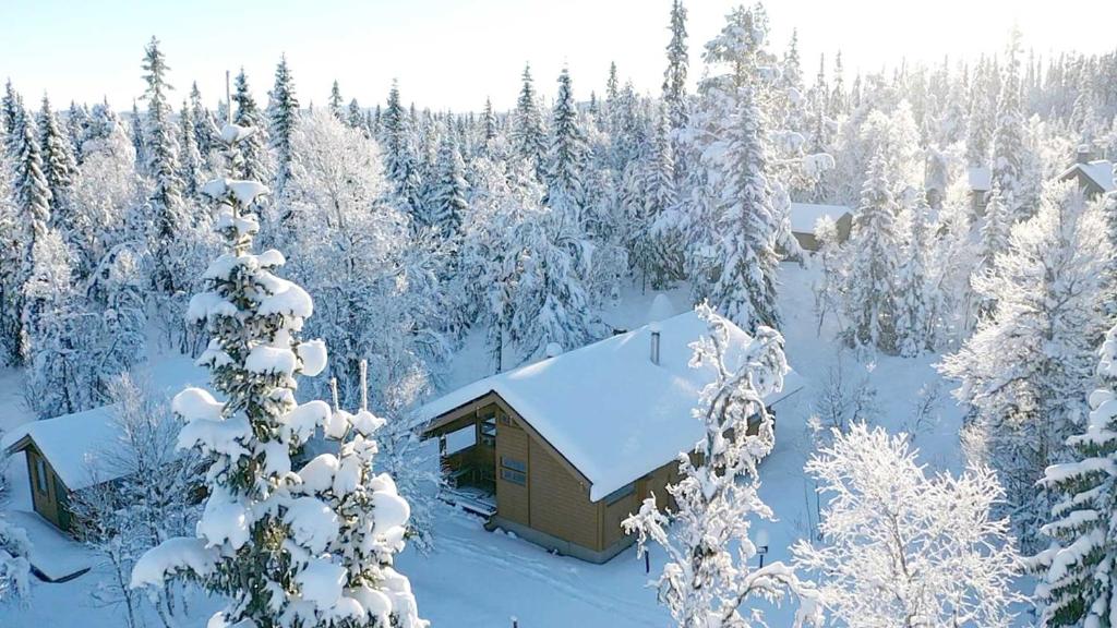 a cabin in a snowy forest with snow covered trees at Falkstigen 1 in Funäsdalen