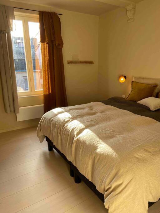 Suites du trèfle – photo 11