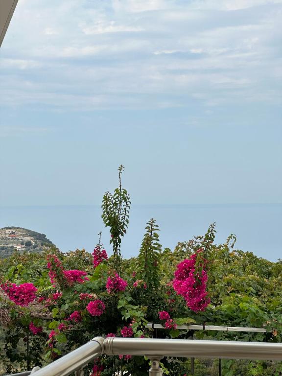 ELÉA Guesthouse himare - Image 5