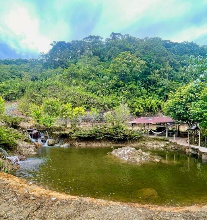 Río Negro的住宿－Finca Mamatoya 1 Río Negro，山前的河流,有房子