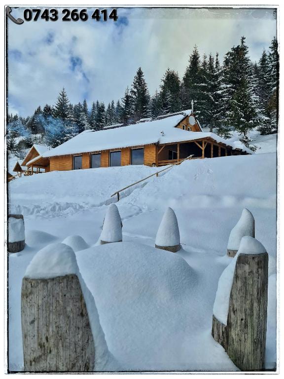 Cabana Dor de Apuseni v zimě