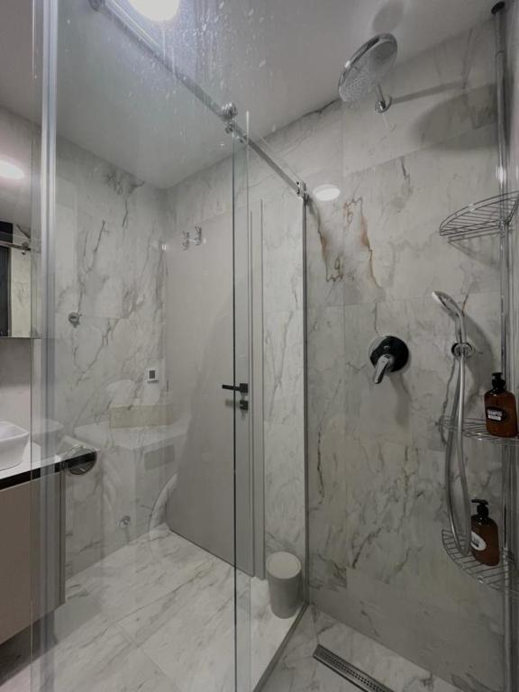 a shower with a glass door in a bathroom at Villa Anemar in Blidinje