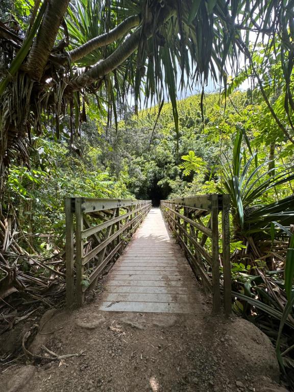 Zahrada ubytování Embark on a journey through Maui with Aloha Glamp's jeep and rooftop tent allows you to discover diverse campgrounds, unveiling the island's beauty from unique perspectives each day