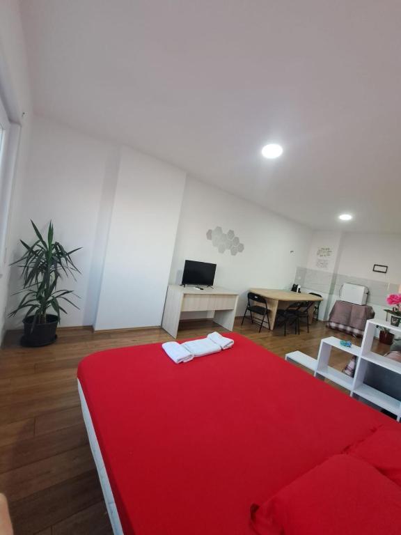 Beautiful Apartment in Tirana - Imazhi 7