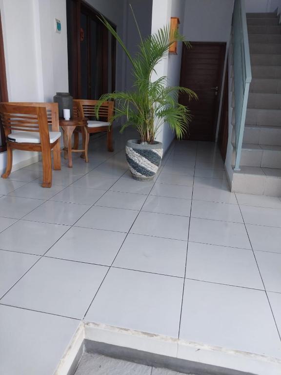 Fotografie z fotogalerie ubytování Chua Guest house Canggu v destinaci Canggu